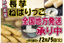 鳥取名産 長芋・ねばりっこ 全国地方発送承り中! 鳥取名産 長芋・ねばりっこ 全国地方発送承り中!