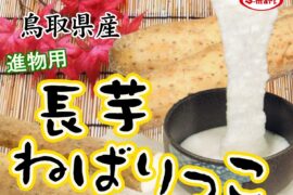 鳥取県数ある自慢の名産品の一つ　長芋・ねばりっこ　全国地方発送承り中！！