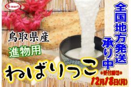 鳥取県産！進物用　ねばりっこ　地方発送承り中！