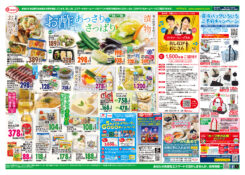 ウイークディ日替わり特価　お酢であっさり＆さっぱり　