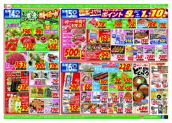 ウイークディ日替わり特価　お酢であっさり＆さっぱり　