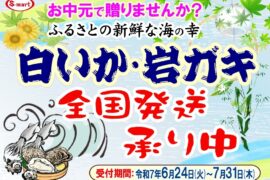 故郷の新鮮な海産物〘白いか・岩がき・さざえセット〙をお中元で贈りませんか？