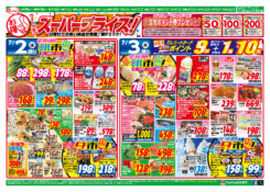 ウイークディスーパープライス　大奮発ポイント券プレゼント！