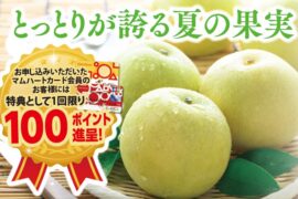 とっとりが誇る夏の果実：二十世紀梨・新甘泉　全国地方発送承り中！！