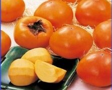 鳥取名産!!花御所柿・富有柿の全国地方発送承り中! 鳥取名産!!花御所柿・富有柿の全国地方発送承り中!