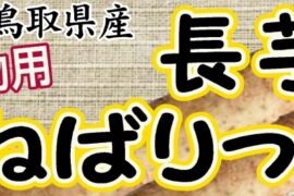 鳥取県産 長芋・ねばりっこ進物用 全国地方発送承り中! 鳥取県産 長芋・ねばりっこ進物用 全国地方発送承り中!