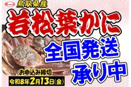 鳥取県産　若松葉かに　全国発送承り中