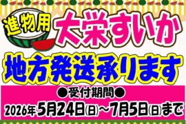 進物用　〘大栄すいか〙　地方発送承ります
