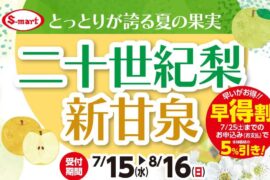 二十世紀梨・新甘泉の全国地方発送承り中　早特割　７月２５日までの御予約お支払いで５％引き！