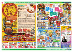 ２５日八百屋の日・２６日お魚の日・２７日お肉屋の日：更に鳥取カレー特集と時短・簡単・便利
