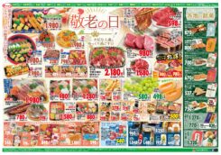 敬老の日特集：大切な人達とゆっくり過ごす日に・・・・と秋のお彼岸特集　日替わり創業祭特価！
