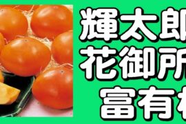 輝太郎柿・花御所柿・富有柿の全国地方発送承り中