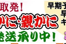 鳥取発！松葉かに・親かに　の地方発送を承り中！　【只今、早期予約で早割りキャンペーン実施中！！！】