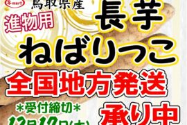 進物用　鳥取県産　長芋・ねばりっこ　の地方発送承り中